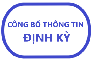 Báo cáo tình hình quản trị Công ty năm 2025