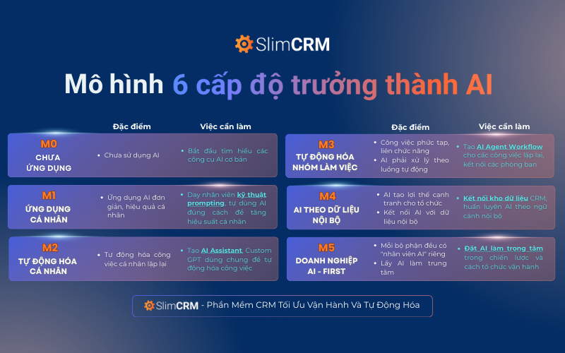Lộ trình ứng dụng AI